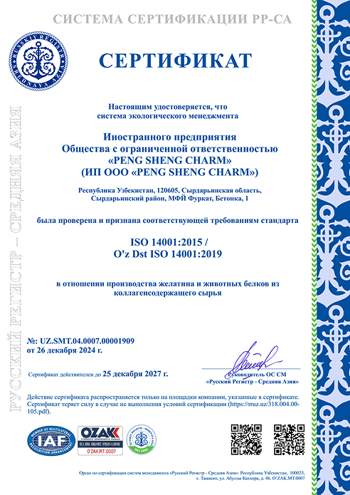 СертификатPENG_SHENG_CHARM_2024_9001_14001_45001_01.pdf - Page 2 of 3