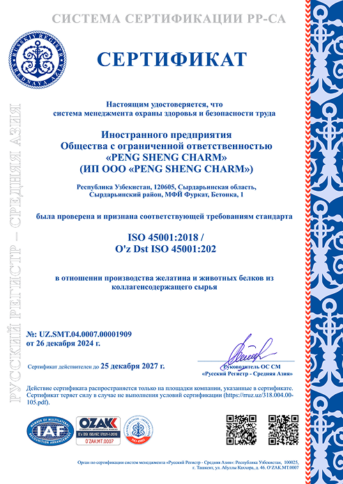 СертификатPENG_SHENG_CHARM_2024_9001_14001_45001_01.pdf - Page 3 of 3